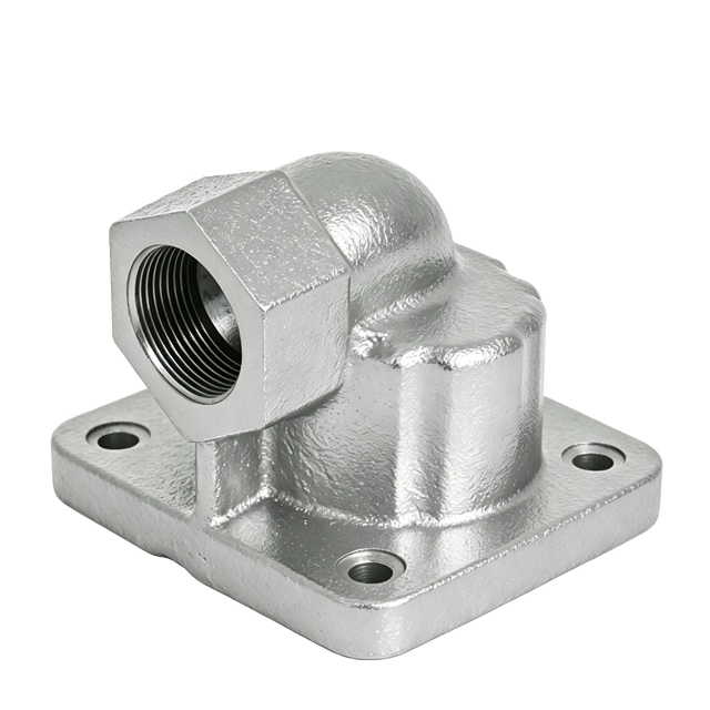 Double Thermostat Cap by Gray Iron Casting with Black E-Coating Surface